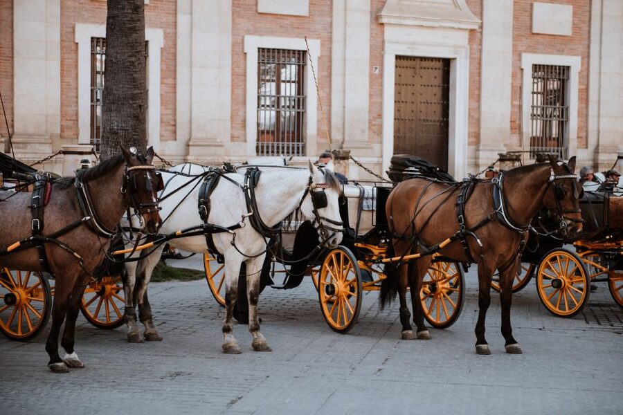 Seville Jewish Quarter walking tour: Santa Cruz District - Casa Murillo and the artistic side of Santa Cruz