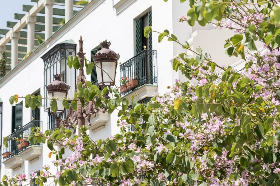 Seville Jewish Quarter walking tour: Santa Cruz District - Calle Ópera Carmen and the neighborhood as a stage