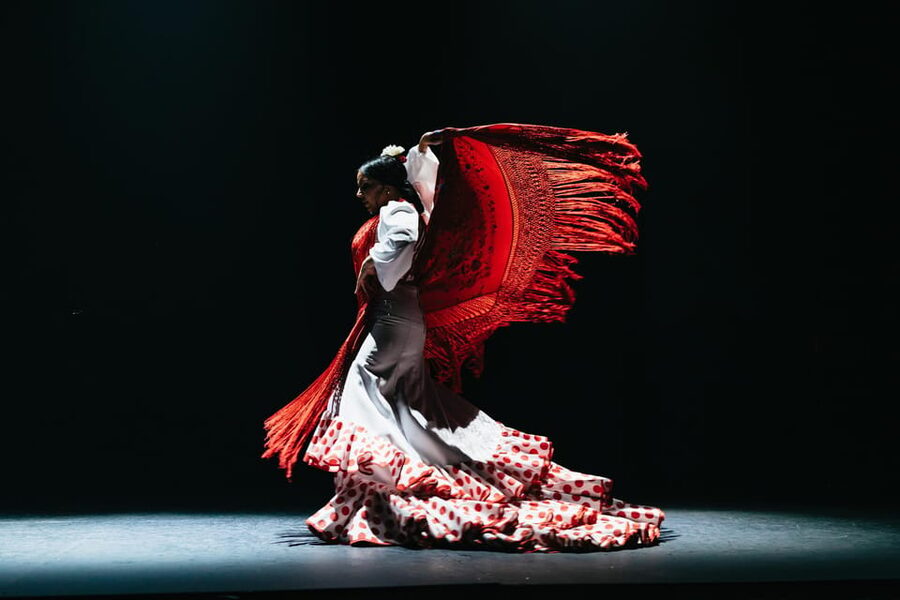 Seville: Live Flamenco Dancing Show Ticket at the Theater - Key points to know