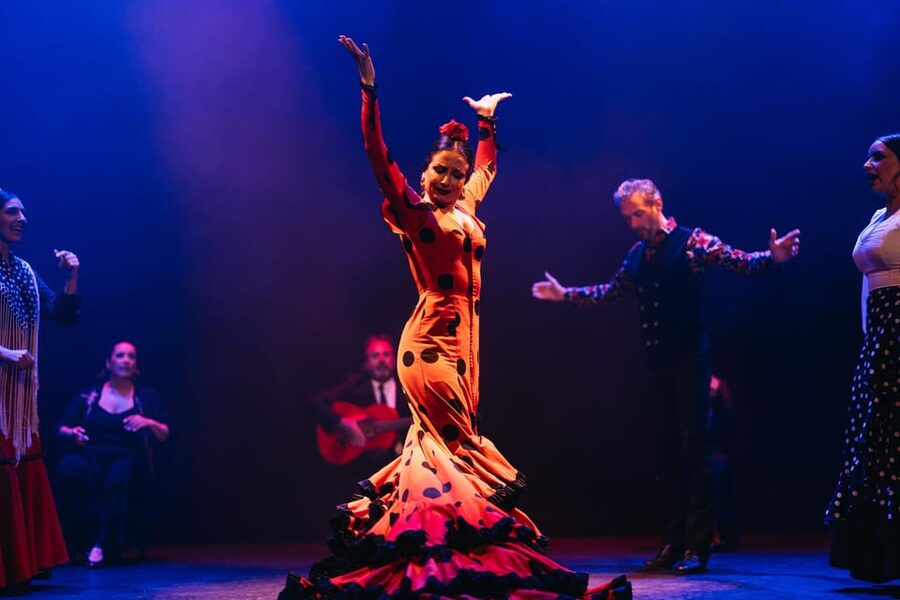 Seville: Live Flamenco Dancing Show Ticket at the Theater - What happens during the one-hour performance