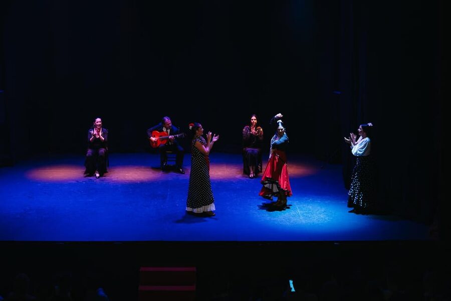 Seville: Live Flamenco Dancing Show Ticket at the Theater - Is $27 good value?