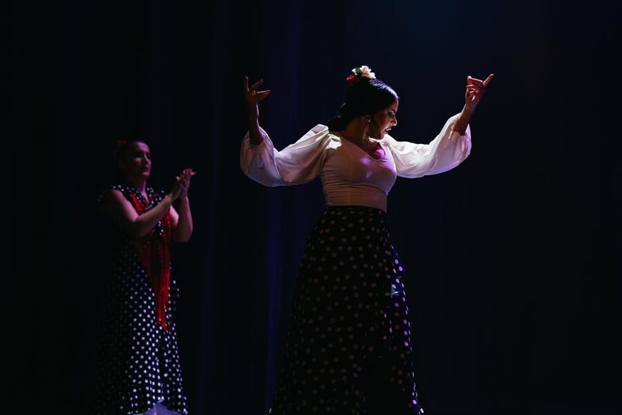 Seville: Live Flamenco Dancing Show Ticket at the Theater - Who should book this experience?