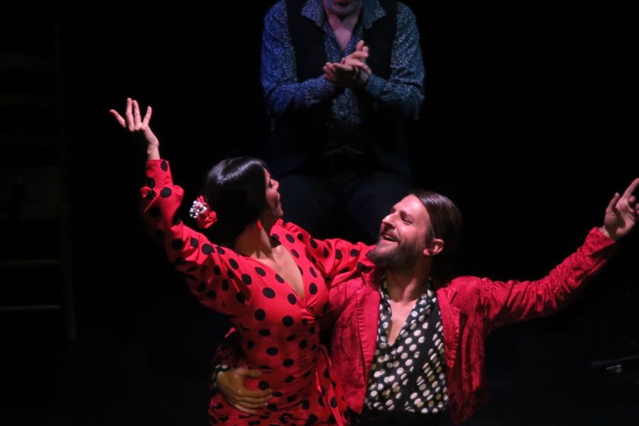 Seville: Live Flamenco Show at "Teatro Flamenco Triana" - What the $28 Price Buys You