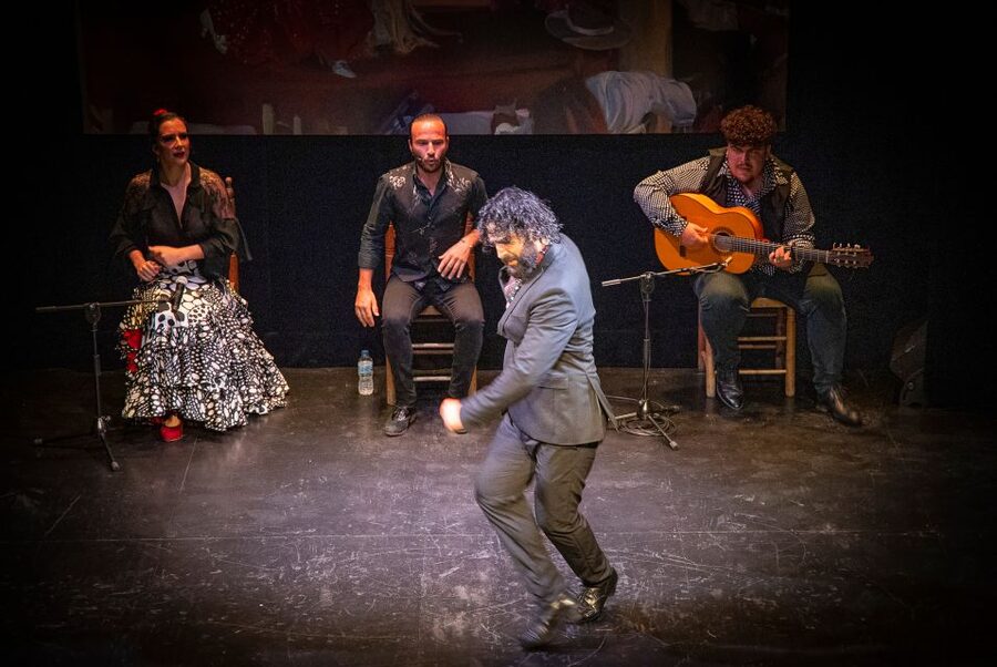 Seville: Live Flamenco Show at "Teatro Flamenco Triana" - Who Should Book This Show