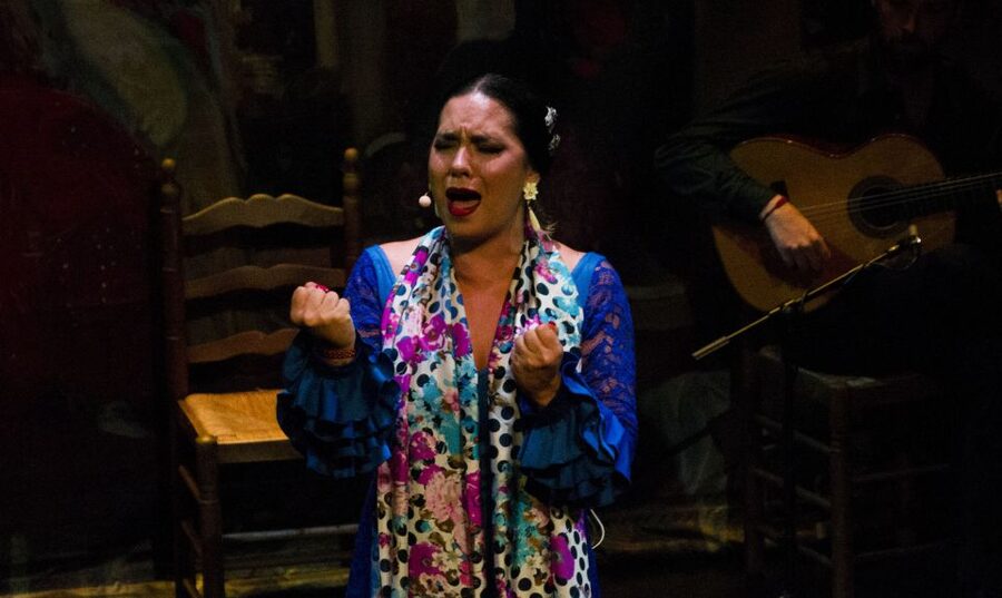 Seville: Live Flamenco Show at "Teatro Flamenco Triana" - Practical Details Before You Go