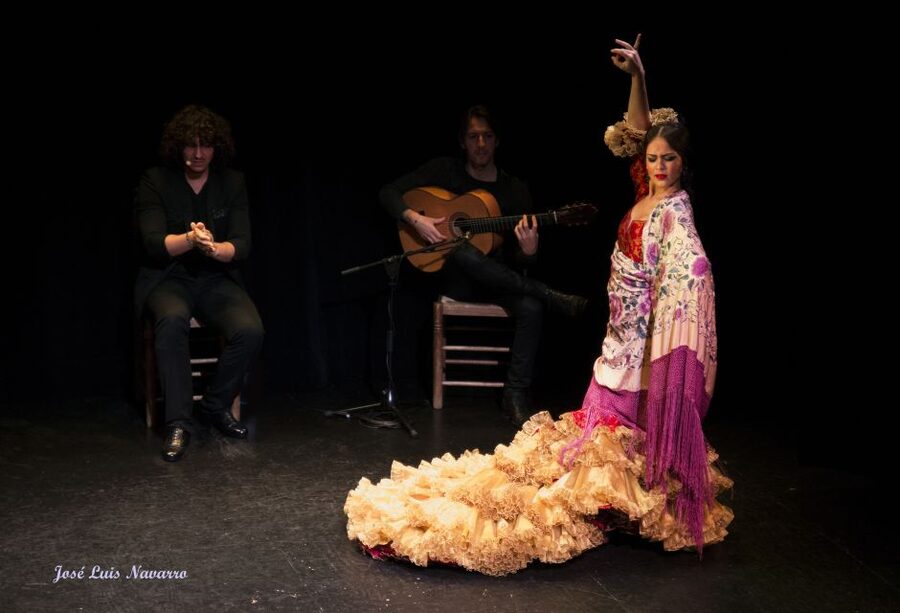 Seville: Live Flamenco Show at "Teatro Flamenco Triana" - Should You Book Teatro Flamenco Triana?