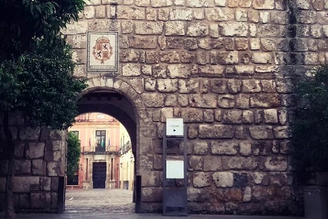 "Seville: Love At First Sight" Private Tour - The old tobacco factory and Seville’s changing identity