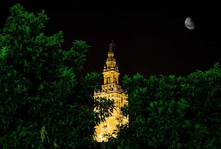 Seville Night Tour A Must See - From the Giraldillo to the Arenal district