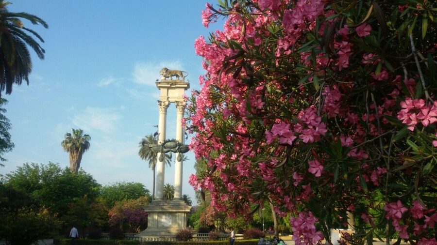 Seville Orientation Tour - Sierpes Street and the everyday center