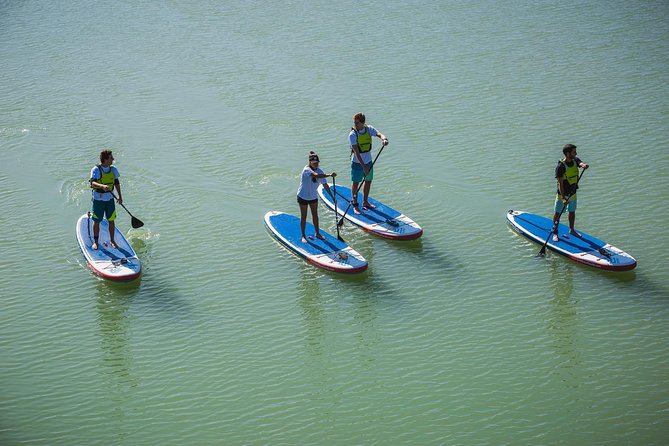 Seville: Paddle Surf Route and Class - What the 90-Minute Format Feels Like