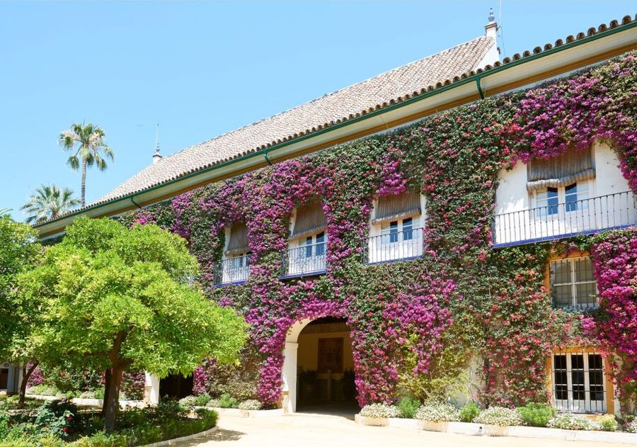 Seville: Palacio de Las Dueñas Entry Ticket and Guided Tour - Guide Language and Communication