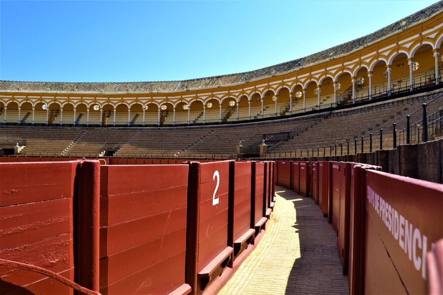 Seville: Plaza de Toros and Barrio Santa Cruz Tour - Starting at the Puerta del Príncipe