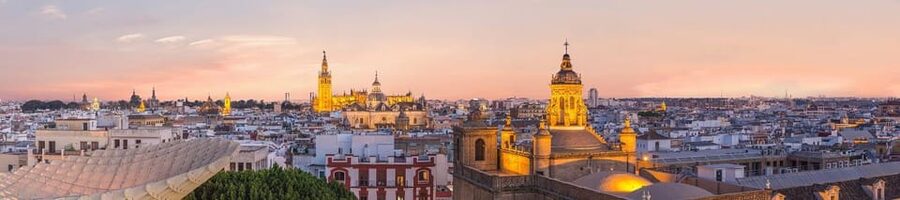 Seville: Priority Access Cathedral & Giralda Tour - Is $35 a fair price?