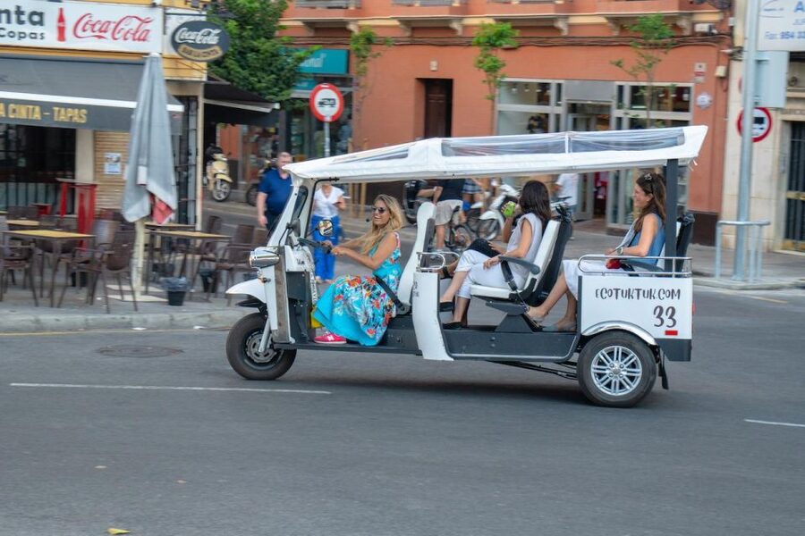 Seville: Private City Tour by Eco Tuk Tuk - Comfort, weather, and practical limits