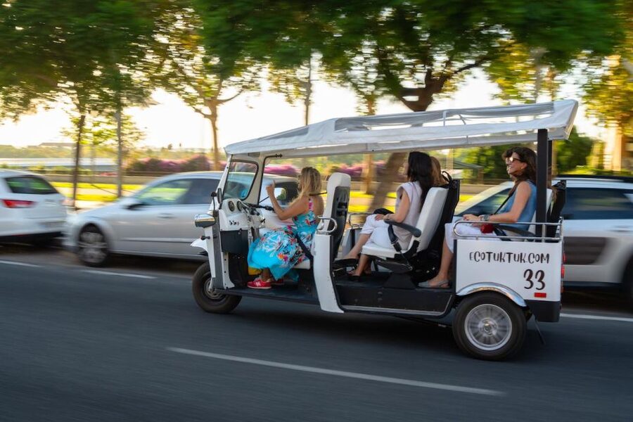 Seville: Private City Tour by Eco Tuk Tuk - Why a private tuk tuk works well in Seville