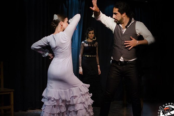 Seville Pure Flamenco Tour - What the one-hour unplugged show should include