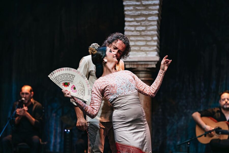 Seville: Puro Flamenco Show with Optional Museum Ticket - Key points to know before booking