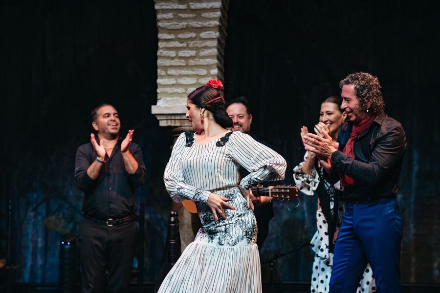 Seville: Puro Flamenco Show with Optional Museum Ticket - Should you book the Puro Flamenco Show?