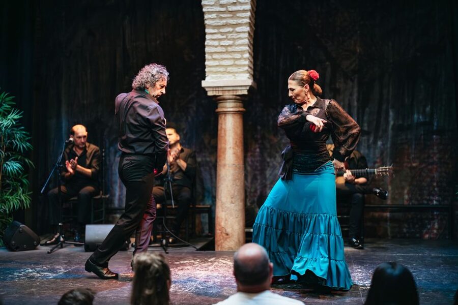 Seville: Puro Flamenco Show with Optional Museum Ticket - Who will enjoy this most?