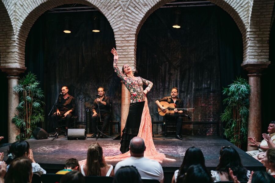 Seville: Puro Flamenco Show with Optional Museum Ticket - What the dancers actually bring to the stage