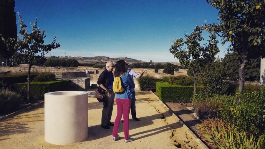 Seville: Roman City of Itálica 2 Hour Tour - Who will enjoy this visit most?