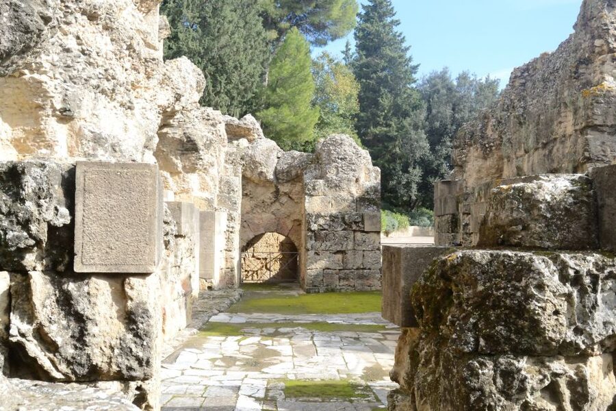 Seville: Roman City of Itálica 2 Hour Tour - Starting at the entrance in Santiponce