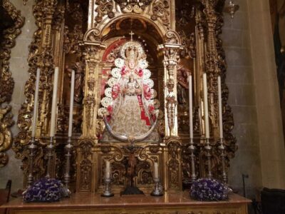 Salvador Church, Casa Pilatos, and Metropol Tour