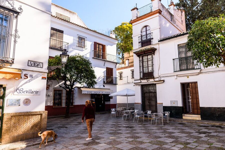Seville: Santa Cruz Old Jewish Quarter Walking Tour - The Sephardic story behind the streets