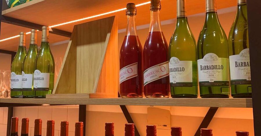 Seville: Sherry Wine Tasting with Light Snacks - The first glasses: learning how sherry is made
