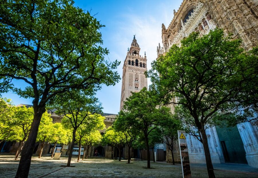 Seville: Small-Group Cathedral and Giralda Tour with Tickets - The Giralda climb: 34 ramps to the bells and views