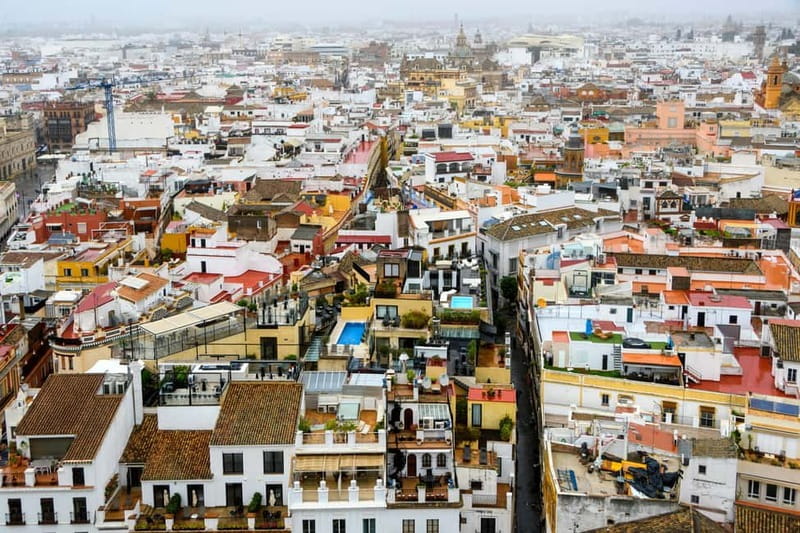 Seville: Sunset Roof Top Walking Tour - Plaza Nueva and the City Hall opening