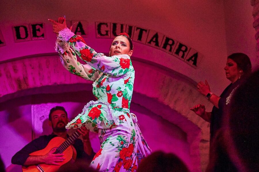 Seville: Ticket to Flamenco Show at La Casa de la Guitarra - Who Will Enjoy This Show Most?