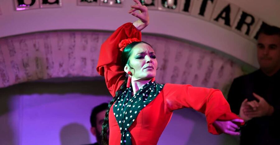 Seville: Ticket to Flamenco Show at La Casa de la Guitarra - The Short Introduction Before the Music