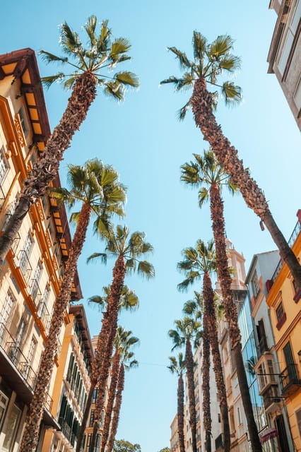 Seville: Transfer to Málaga with visit to Ronda - Reaching Ronda from Seville
