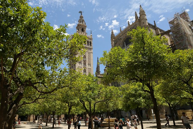 Seville, walk through the heart of the city - Santa Cruz, where the route slows down