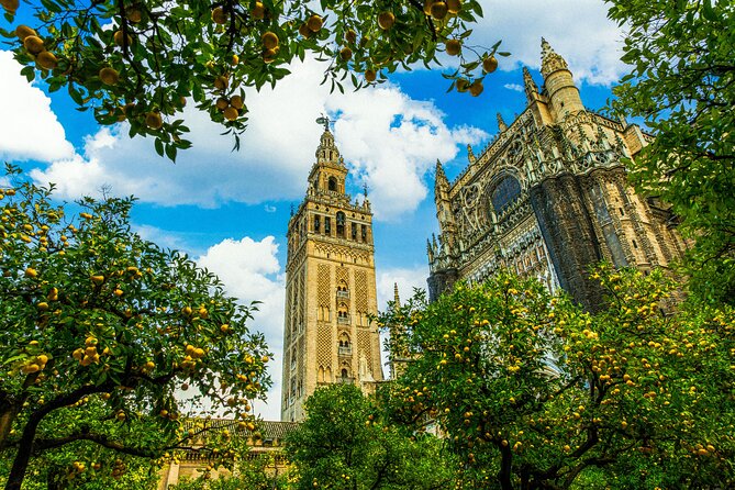 Skip the Line Seville Alcázar, Cathedral & Giralda Guided Tour - The guide makes the difference