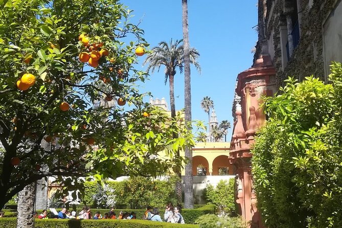 Small Group Tour of the Royal Alcazar of Seville - Why the Royal Alcázar Needs a Guide