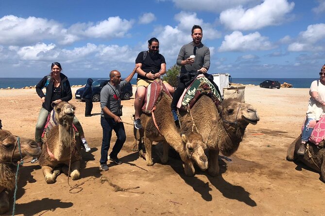 Tangier Day Trip from Seville - Lunch, shopping, and the question of added costs
