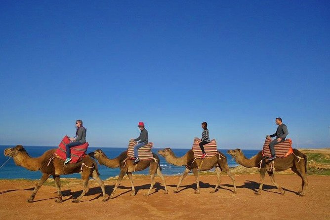 Tangier in Morocco private tour from Seville all inclusive - Arriving in Tangier and finding your guide