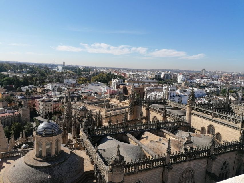 The Best of Seville: Private 2,5 Hour Walking Tour - Plaza de España and Maria Luisa Park