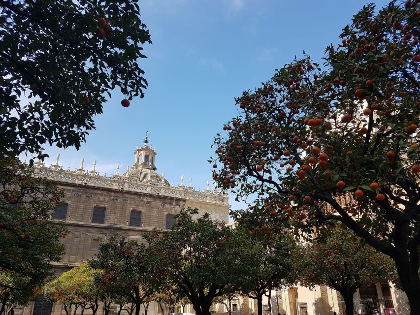 The Best of Seville: Private 2,5 Hour Walking Tour - What $198 means for a group of five