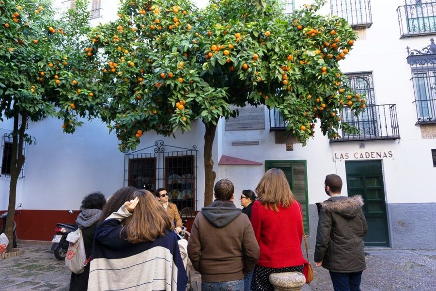 The Cultures of Seville Walking Tour - Why $17 is a sensible price for a first look