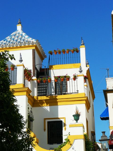 The Cultures of Seville Walking Tour - Booking flexibility and practical details