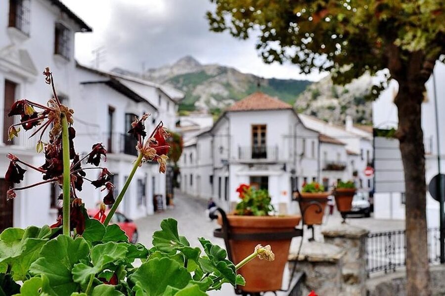 The Villages of Andalusia: Full-Day Trip from Seville - Guides, vehicle, and group size