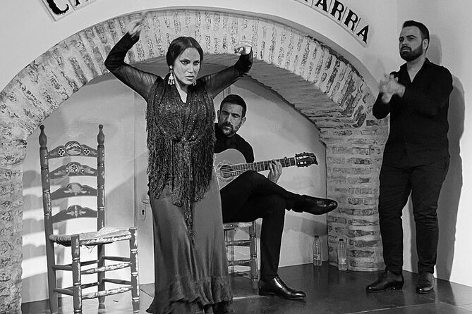Ticket for Casa de la Guitarra Flamenco Show - Who should book this experience?