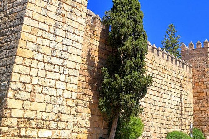 Tour Seville Complete and Jewish Quarter Santa Cruz - From the Judería to the Royal Alcázar walls
