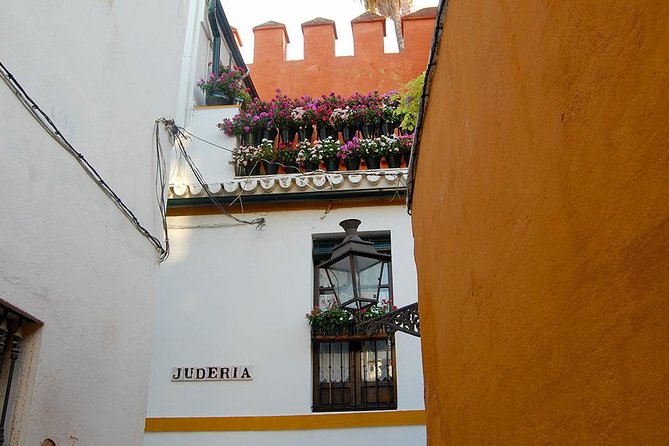 Unmissable Seville private tour - Seville Cathedral and the Giralda, 90 minutes of major highlights