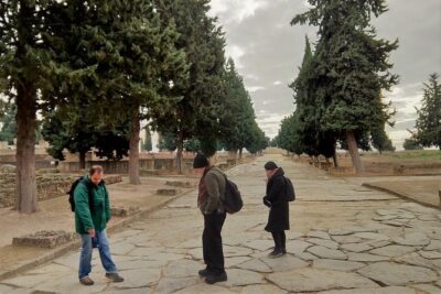Visit to Italica Roman Ruins Tour tickets included