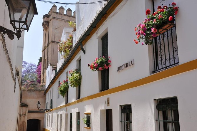 Walking tour through the old Jewish quarter of Santa Cruz. - What this tour does not include