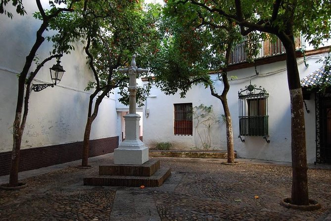 Walking tour through the old Jewish quarter of Santa Cruz. - Who will enjoy the Santa Cruz walk most?